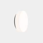 Applique murale LED CCT intensité variable Spark Ø39cm