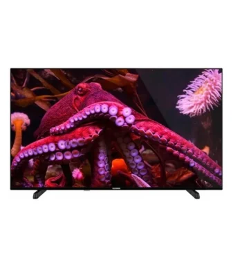 Grande TV mode hôtel